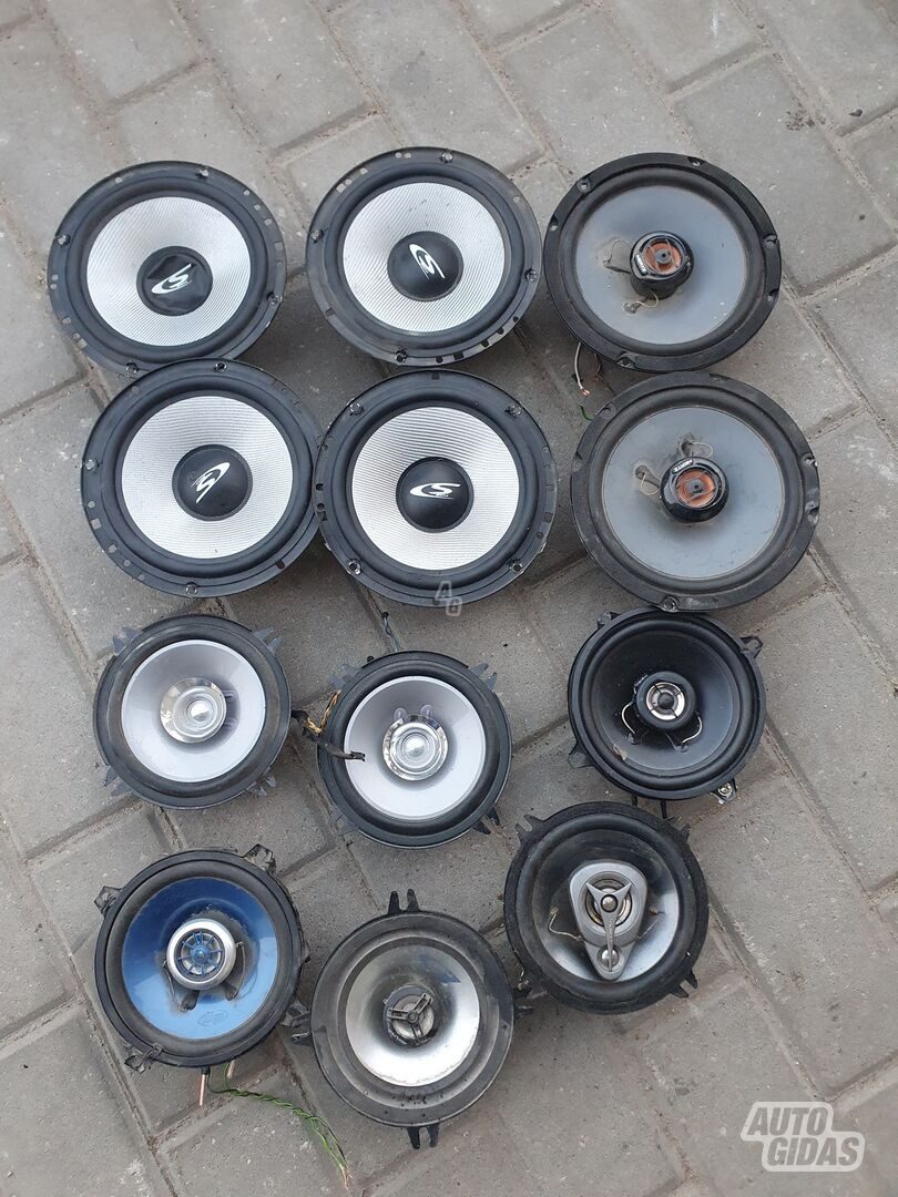 Pioneer Garsiakalbis
